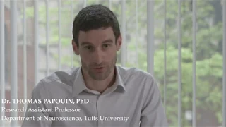Astrocytes: The Missing Link in Schizophrenia?