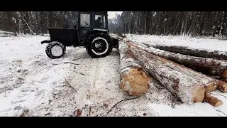 Второй Зверь МТЗ ВЕРНУЛСЯ В СТРОЙ! Валка леса Stihl 361! МТЗ-82 трелёвка!....