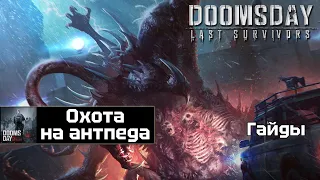 Doomsday - продвинутый гайд охота на Антпеда