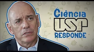 Ciência USP Responde: O que causa a dependência do álcool?