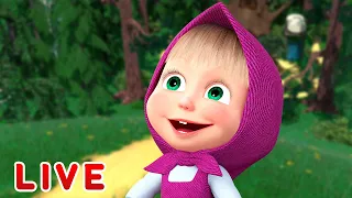 🔴 LIVE STREAM 🎬 Masha and the Bear 🐻👱‍♀️ It's always sunny in the forest 🌞🌳