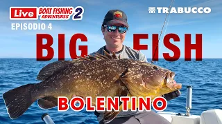 Pescare a BOLENTINO: tanute e CERNIA a sorpresa! BIG FISH » Pesca in mare dalla barca » LBFA S2E4