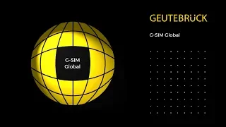 Geutebrück G-SIM Global | EN