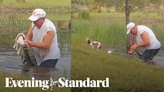 Moment Florida man wrests puppy out of alligator’s jaws without dropping his cigar