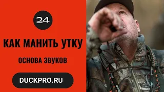 24. Обучающее видео от Elite Duck Calls.  Базовый кряк.  Русская озвучка.