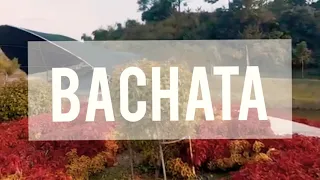 BACHATA - Kay One ft Cristobal - Dance Fitness - K9 Studio