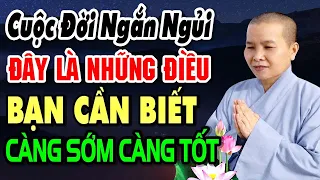 Đời Người Ngắn Ngủi, Đây Là Những Điều Bạn Cần Biết Càng Sớm Càng Tốt | SC. Thích Nữ Như Lan