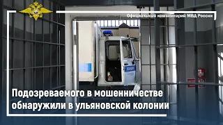 Ирина Волк: Подозреваемого в мошенничестве полицейские обнаружили в ульяновской колонии