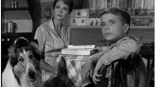 Lassie - Episode #332 - "Lassie and the Winged Enemy" - Season 10, Ep 9 - 12/01/1963