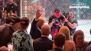 Donald Trump gets hero's welcome at UFC 290 in Las Vegas