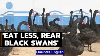 North Koreans told to eat black swan meat, face hardship till 2025 | Oneindia News