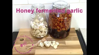 How to make honey fermented garlic | Immune booster. #honeyfermentedgarlic #garlic  #fermenting