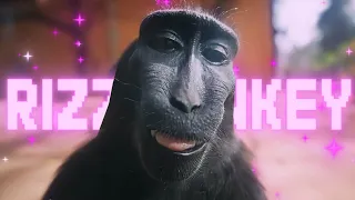 rizz monkey edit 🦧