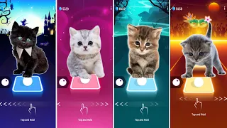 CUTE CATS WEDNESDAY LADY GAGA BLOODY MARY vs BLACKPINK LISA MONEY vs JISOO FLOWER KITTY AQUA BARBIE