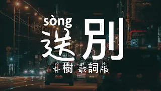 送別 朴樹 動態歌詞版『天之涯，地之角，知交半零落，人生難得是歡聚』Memory Lyrics video music Chinese song