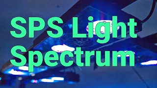 SPS AB+? AquaBlue? Actinic? Tuning your LED light colors to be best for your reef tank SPS corals.