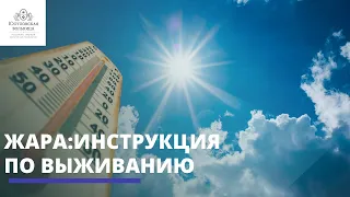 ЖАРА: инструкция по выживанию летом