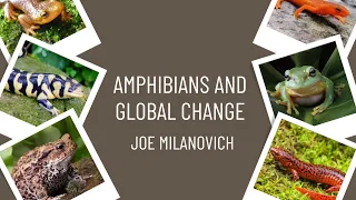 Amphibians and Global Change | NBTI