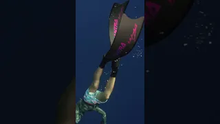 Spearfishing Yellowfin Tuna in Bali