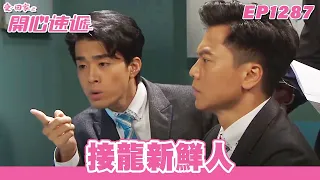 【愛．回家之開心速遞】台灣完整版第1287集 接龍新鮮人 | 劉丹、呂慧儀、單立文、蘇韻姿、湯盈盈、滕麗名、周嘉洛、張景淳、林淑敏