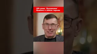VIP-узник "Лукьяновки" Луценко о запахе тюрьмы #shorts