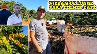 ELES VIERAM DE MUITO LONGE PARA COLHER CAFÉ EM MINAS