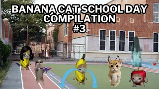 Banana Cat School Day Series  Part 3 - Happy Cat TikTok Compilation