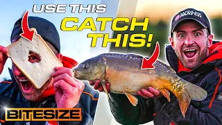 Bomb and Bread - Match Fishing Tips | Guru Bitesize #057