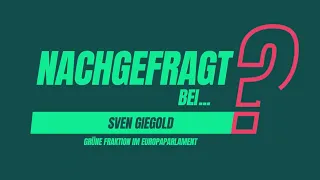 Nachgefragt bei Sven Giegold, Gerhard Schick und Maria Ohisalo | #dbdk20