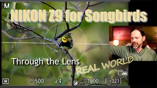 Nikon Z9 for Songbird Photography... Real World