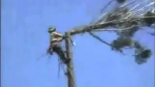 Funny Tree Cutting Fail