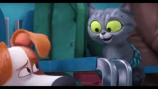 ТАЙНАЯ ЖИЗНЬ ДОМАШНИХ ЖИВОТНЫХ 2 - The Secret Life of Pets 2