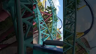 Cobra's Curse at Bush Gardens Tampa Bay (full video)