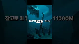 마리아나 해구 11000미터에서 실제로 발견된 물체 ㄷㄷ