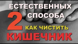 ДВА Естественных способа КАК ЧИСТИТЬ кишечник