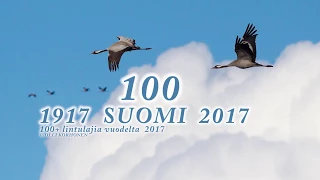 More than 100 Finnish bird species in 2017 to celebrate Finland's 100 years of independence