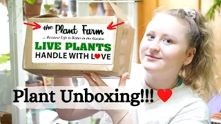 PLANT UNBOXING/HAUL | THE PLANT FARM [ETSY] REVIEW