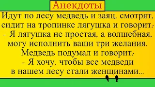 Медведь, заяц и волшебная лягушка... Лучшие длинные анекдоты и жизненные истории 2022