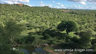 View over / in Kruger park 3 - join us on a virtual safari