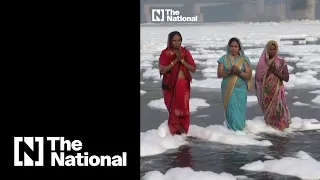 Hindus bathe in India's sacred Yamuna river, despite toxic foam