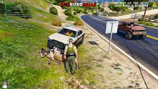 Deputy Frosty Milks A Cow