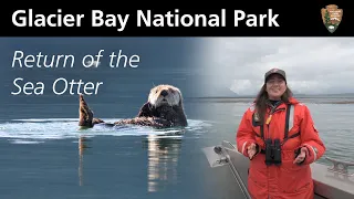 Return of the Sea Otter - By Ranger Marinell