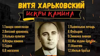 "ИСКРЫ КАМИНА". ИСПОЛНЯЕТ ВИТЯ ХАРЬКОВСКИЙ, БЛАТНЫЕ ПЕСНИ И ЛАГЕРНЫЕ ПЕСНИ. КЛАССИКА ЖАНРА.