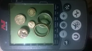 MINELAB EQUINOX GOLD COIN & RING  VDI NUMBERS!!!