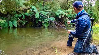 River Fishing for Brown Trout on Fly After Huge Rainfall Across Victoria!