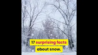 17 Suprising Facts About Snow