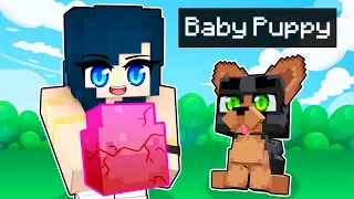 Adopting a BABY PUPPY in Minecraft!