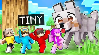 Minecraft But We’re TINY!