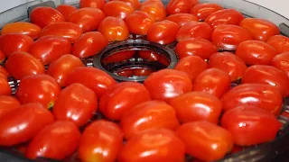 Dehydrating Grape Tomatoes - Preserving the Garden Harvest