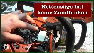 Kettensäge hat keinen Zündfunken